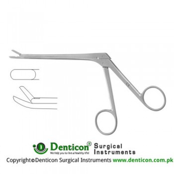 Spurling Leminectomy Rongeur Up Stainless Steel, 20 cm - 8" Bite Size 4 x 10 mm 